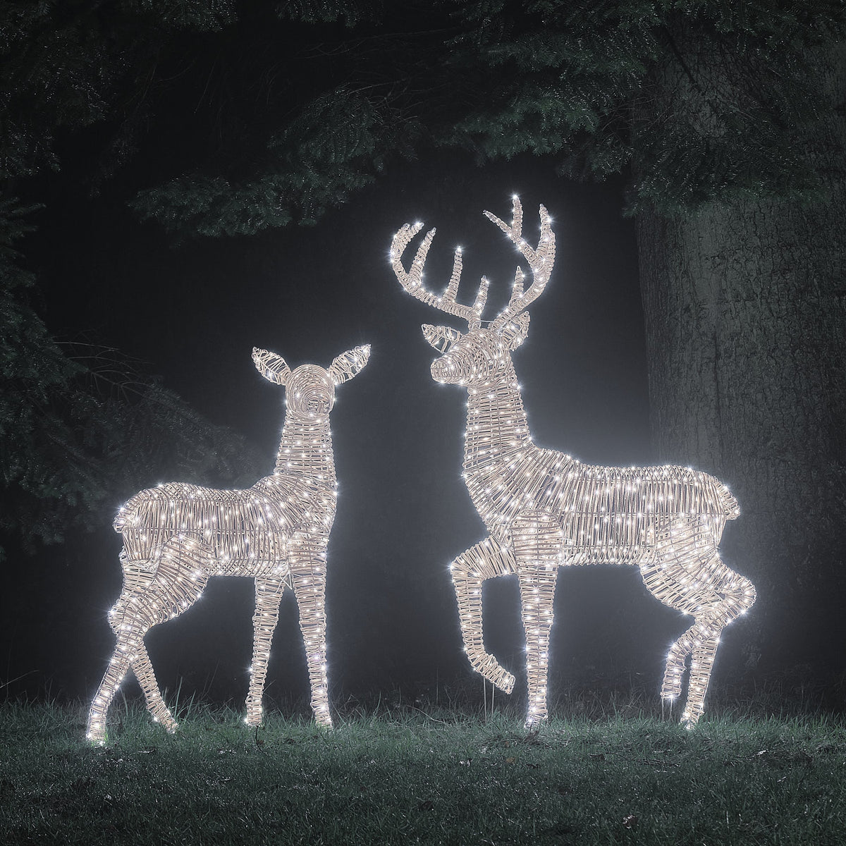 Duo Grand Cerf et Grande Biche Lumineux Leyburn en Rotin à LED Bicolores