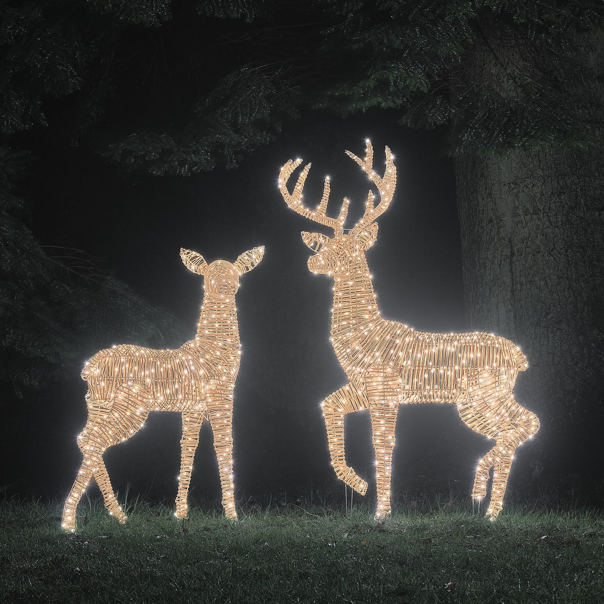 Duo Grand Cerf et Grande Biche Lumineux Leyburn en Rotin à LED Bicolores