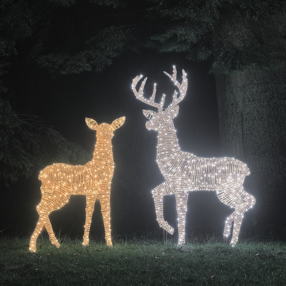 Duo Grand Cerf et Grande Biche Lumineux Leyburn en Rotin à LED Bicolores
