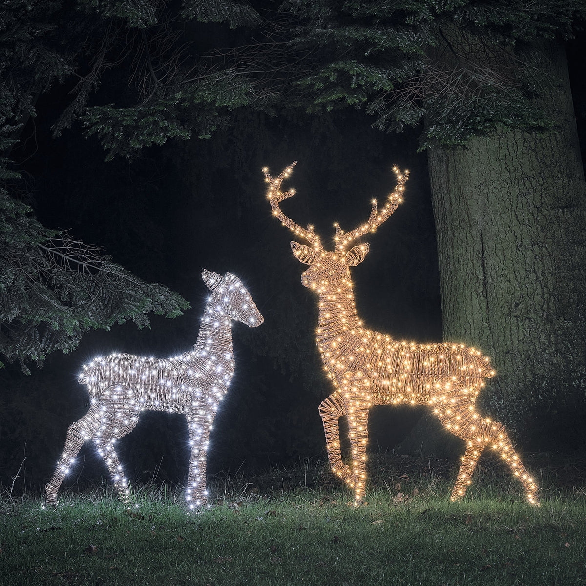 Duo Grand Cerf et Biche Lumineux Pateley en Rotin Noir et Marron à LED Bicolores