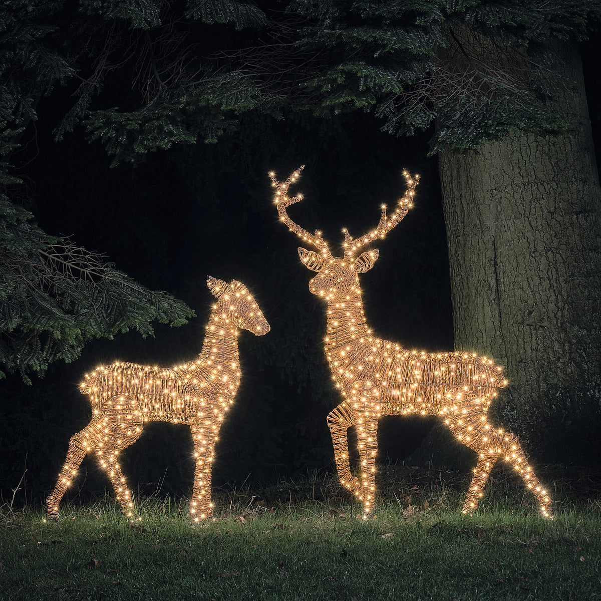 Duo Grand Cerf et Biche Lumineux Pateley en Rotin Noir et Marron à LED Bicolores
