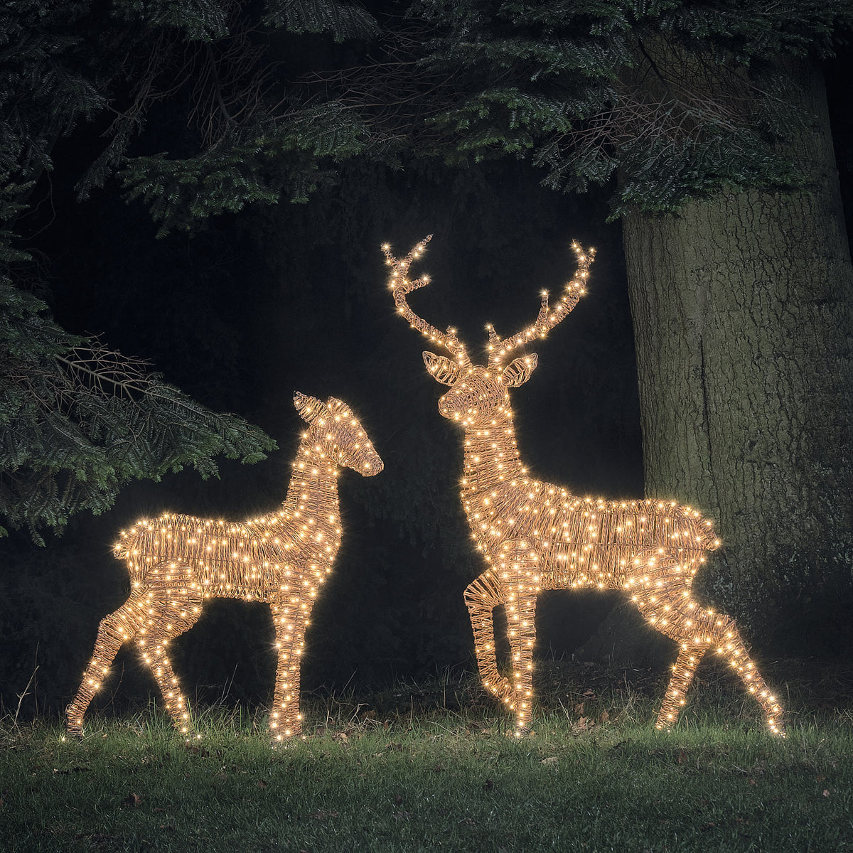 Duo Grand Cerf et Biche Lumineux Pateley en Rotin Noir et Marron à LED Bicolores