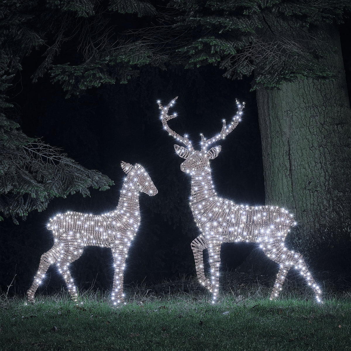 Duo Grand Cerf et Biche Lumineux Pateley en Rotin Noir et Marron à LED Bicolores