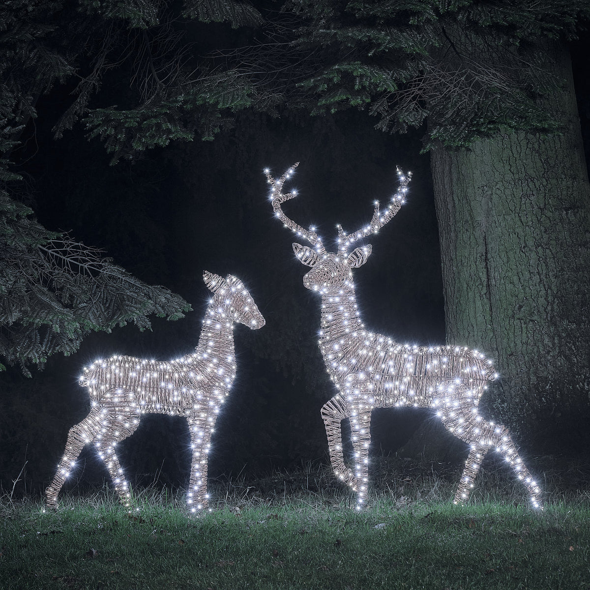 Duo Grand Cerf et Biche Lumineux Pateley en Rotin Noir et Marron à LED Bicolores