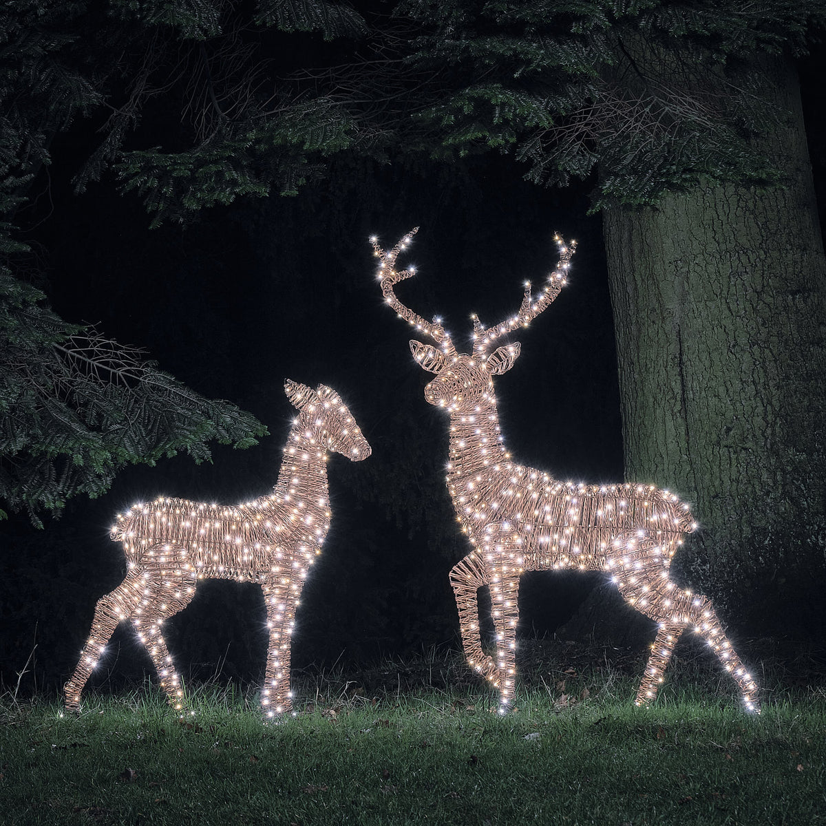 Duo Grand Cerf et Biche Lumineux Pateley en Rotin Noir et Marron à LED Bicolores