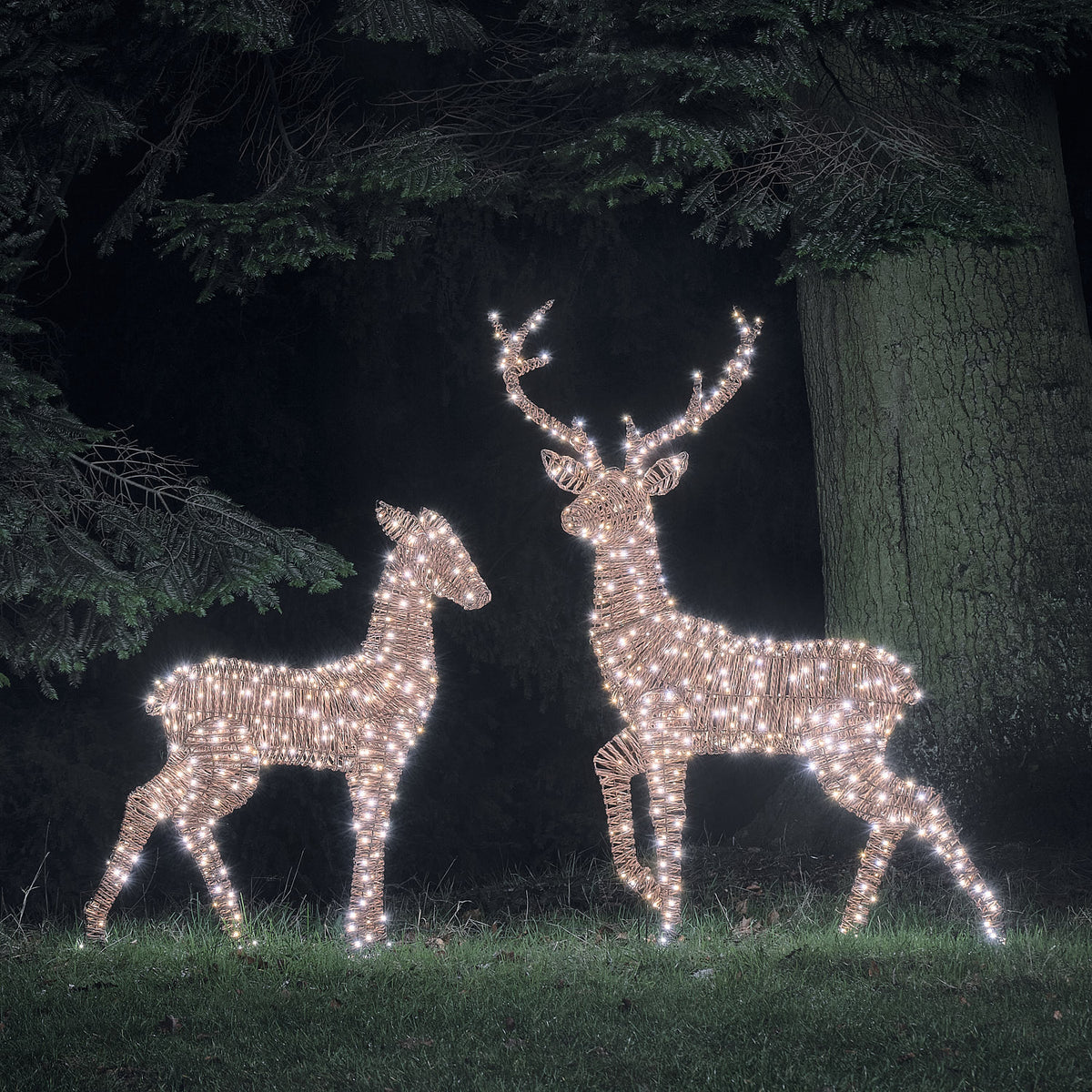 Duo Grand Cerf et Biche Lumineux Pateley en Rotin Noir et Marron à LED Bicolores