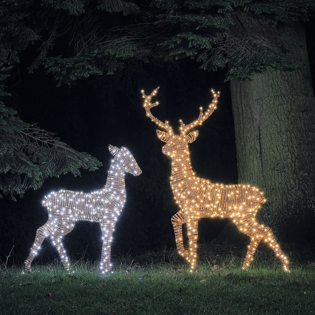 Duo Grand Cerf et Biche Lumineux Pateley en Rotin Noir et Marron à LED Bicolores
