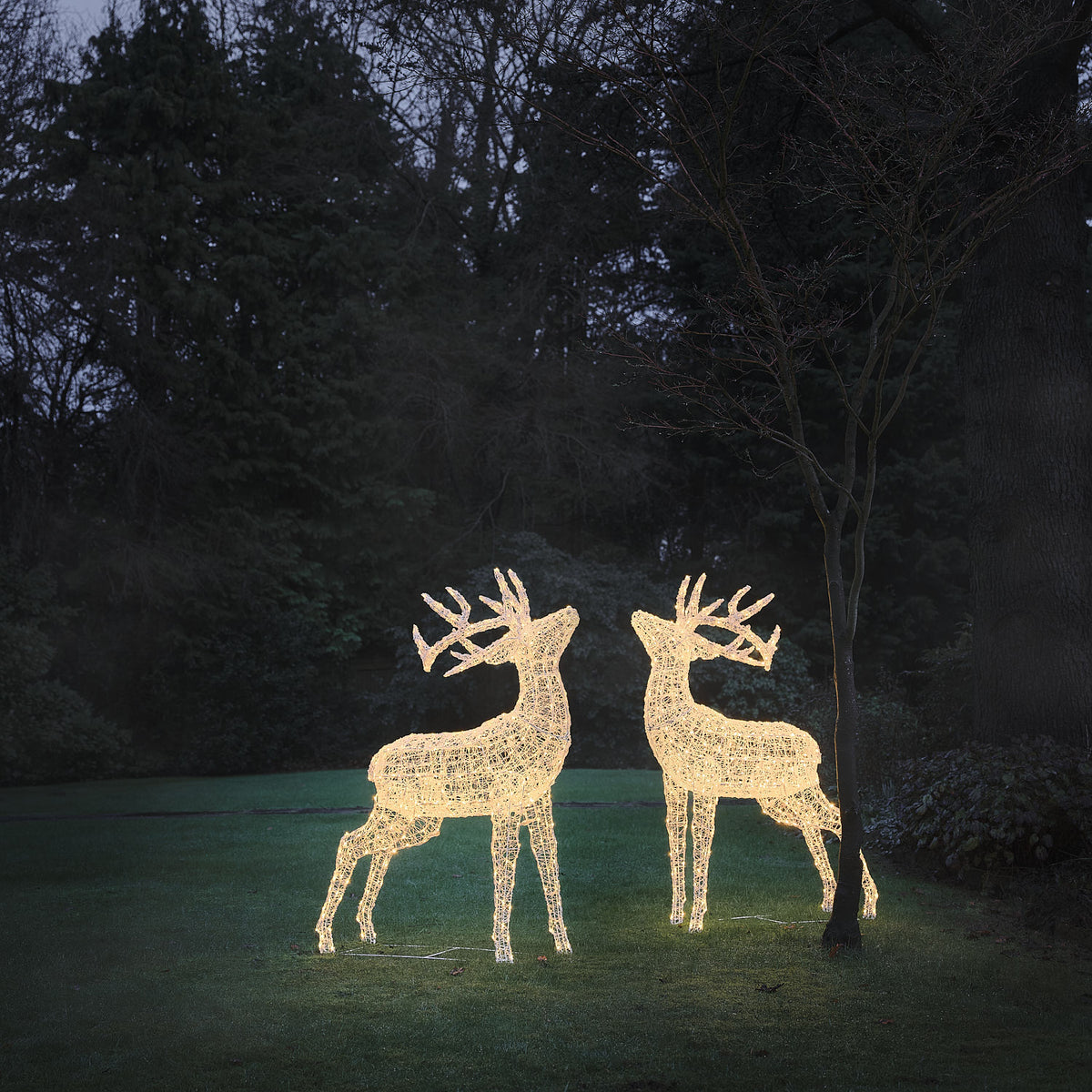 Lot de 2 Grands Rennes Lumineux Swinsty de 1,5 m à LED Bicolores en Acrylique Blanc