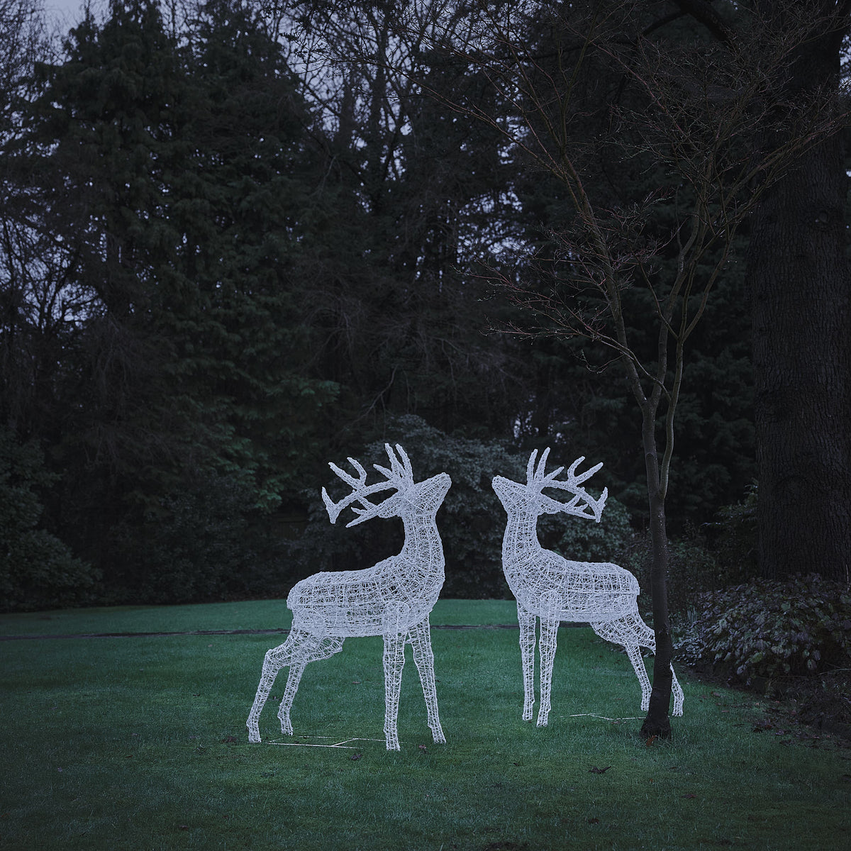 Lot de 2 Grands Rennes Lumineux Swinsty de 1,5 m à LED Bicolores en Acrylique Blanc