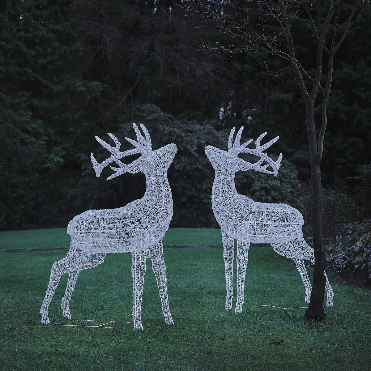 Lot de 2 Grands Rennes Lumineux Swinsty de 1,5 m à LED Bicolores en Acrylique Blanc