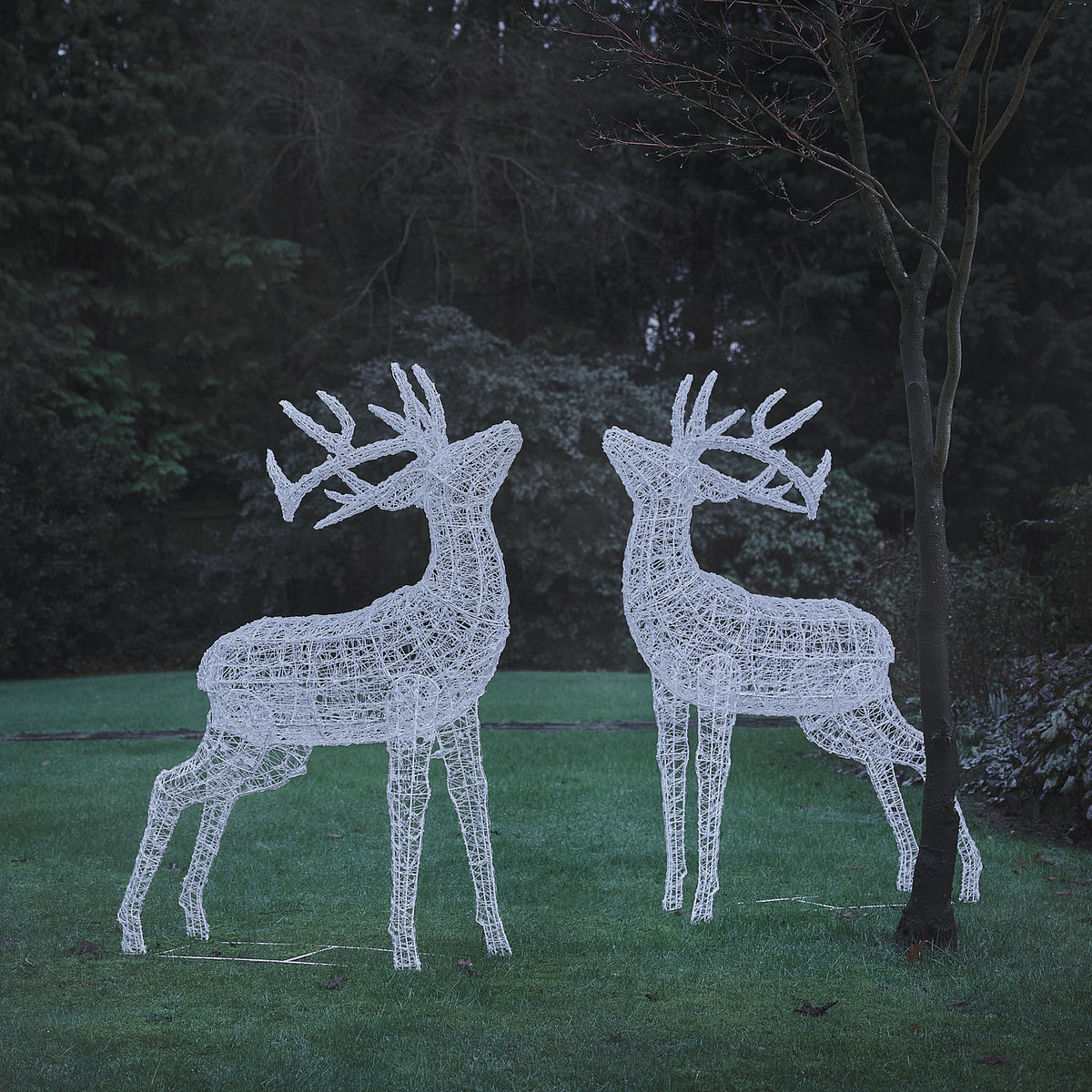 Lot de 2 Grands Rennes Lumineux Swinsty de 1,5 m à LED Bicolores en Acrylique Blanc