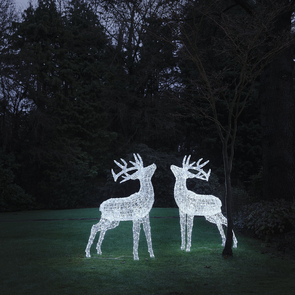 Lot de 2 Grands Rennes Lumineux Swinsty de 1,5 m à LED Bicolores en Acrylique Blanc