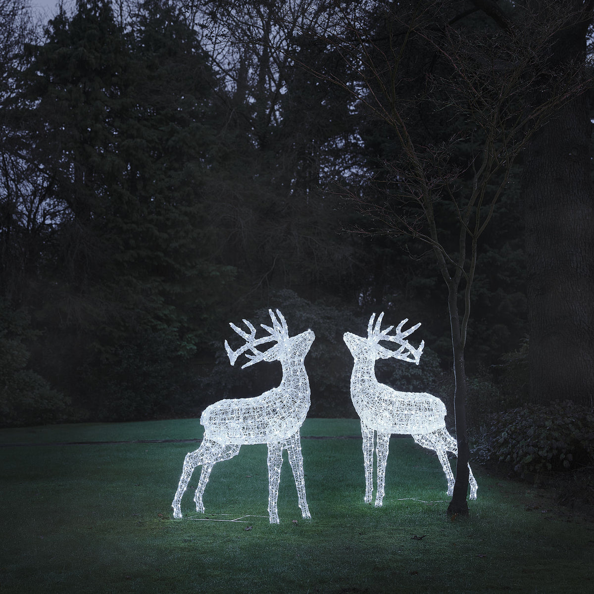 Lot de 2 Grands Rennes Lumineux Swinsty de 1,5 m à LED Bicolores en Acrylique Blanc