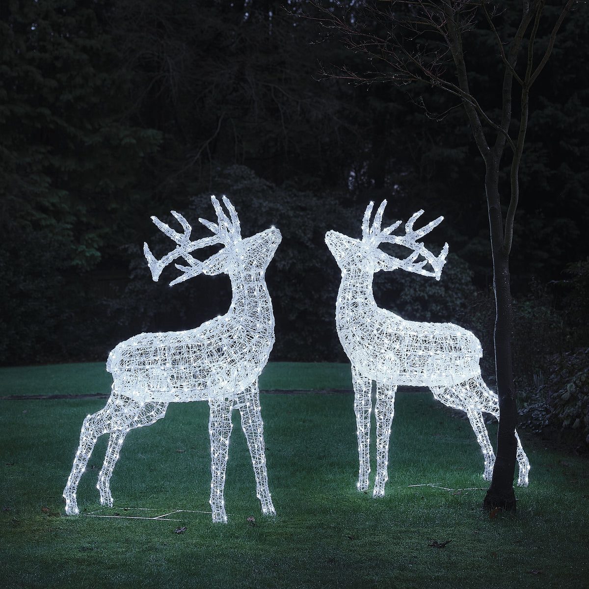 Lot de 2 Grands Rennes Lumineux Swinsty de 1,5 m à LED Bicolores en Acrylique Blanc