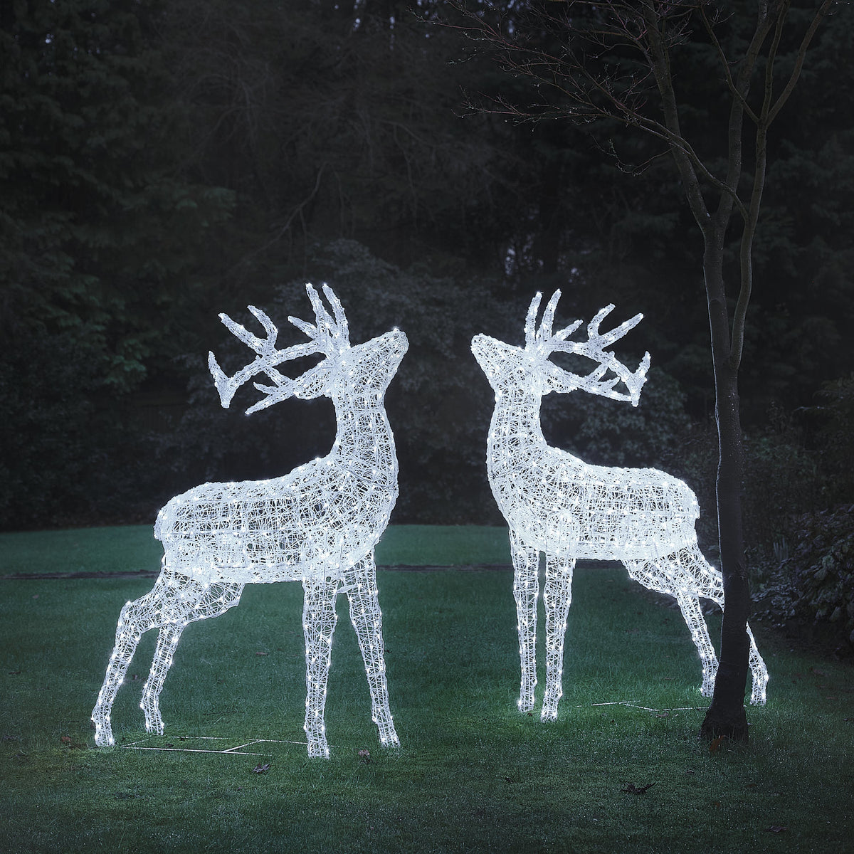 Lot de 2 Grands Rennes Lumineux Swinsty de 1,5 m à LED Bicolores en Acrylique Blanc