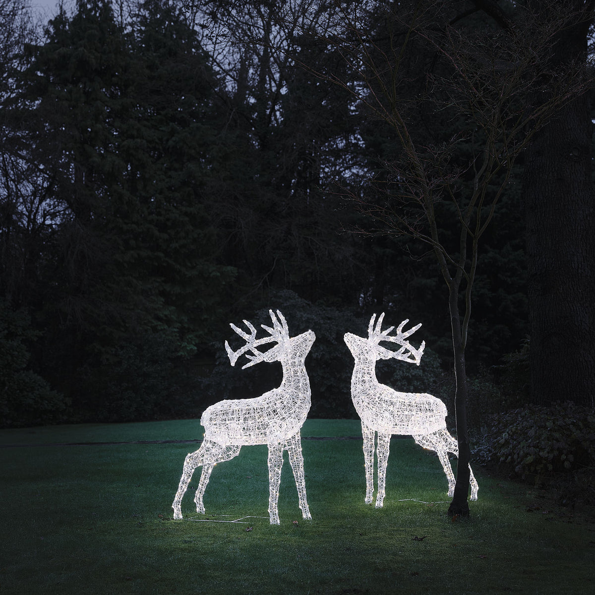 Lot de 2 Grands Rennes Lumineux Swinsty de 1,5 m à LED Bicolores en Acrylique Blanc