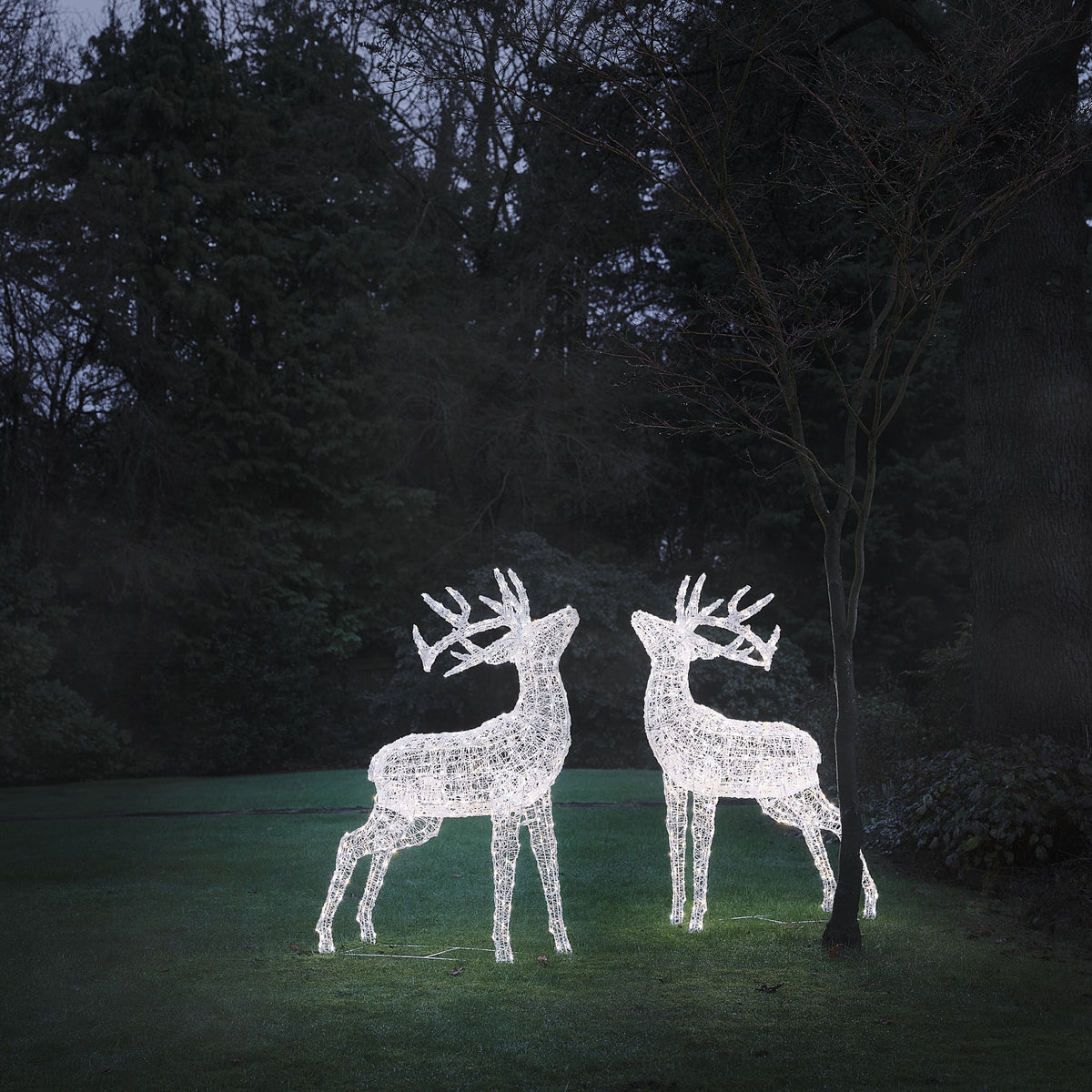 Lot de 2 Grands Rennes Lumineux Swinsty de 1,5 m à LED Bicolores en Acrylique Blanc