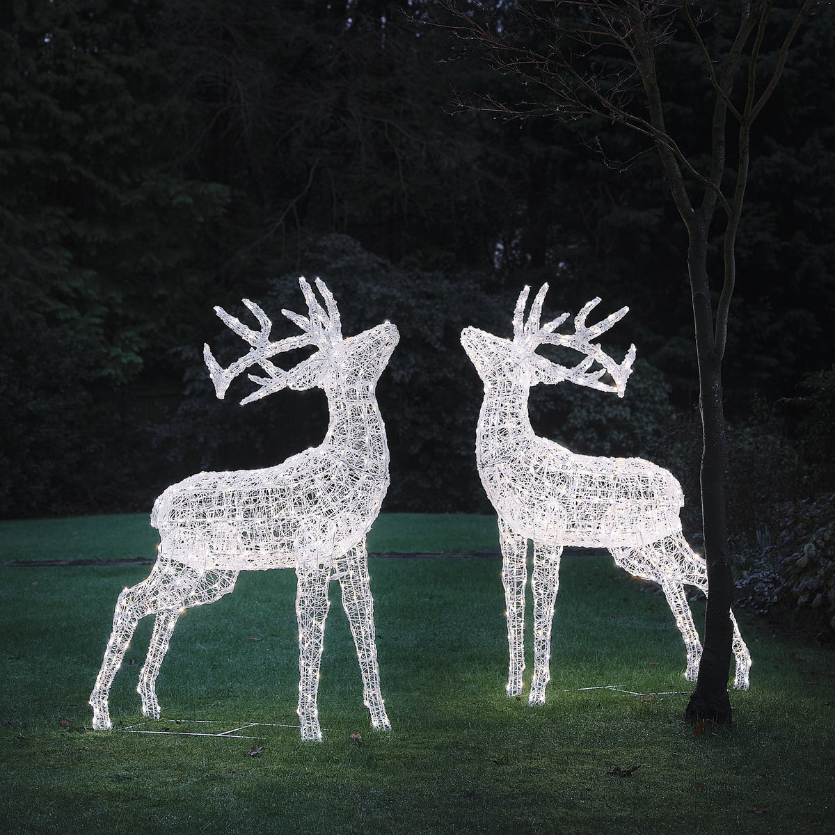 Lot de 2 Grands Rennes Lumineux Swinsty de 1,5 m à LED Bicolores en Acrylique Blanc