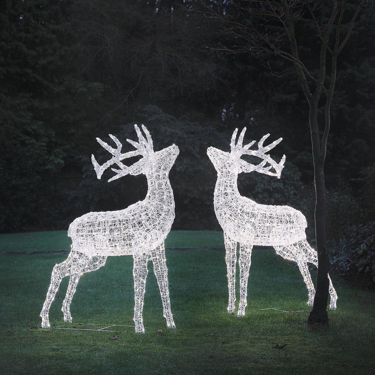 Lot de 2 Grands Rennes Lumineux Swinsty de 1,5 m à LED Bicolores en Acrylique Blanc