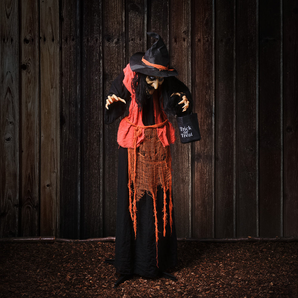Sorcière Animée avec Sac à Bonbons