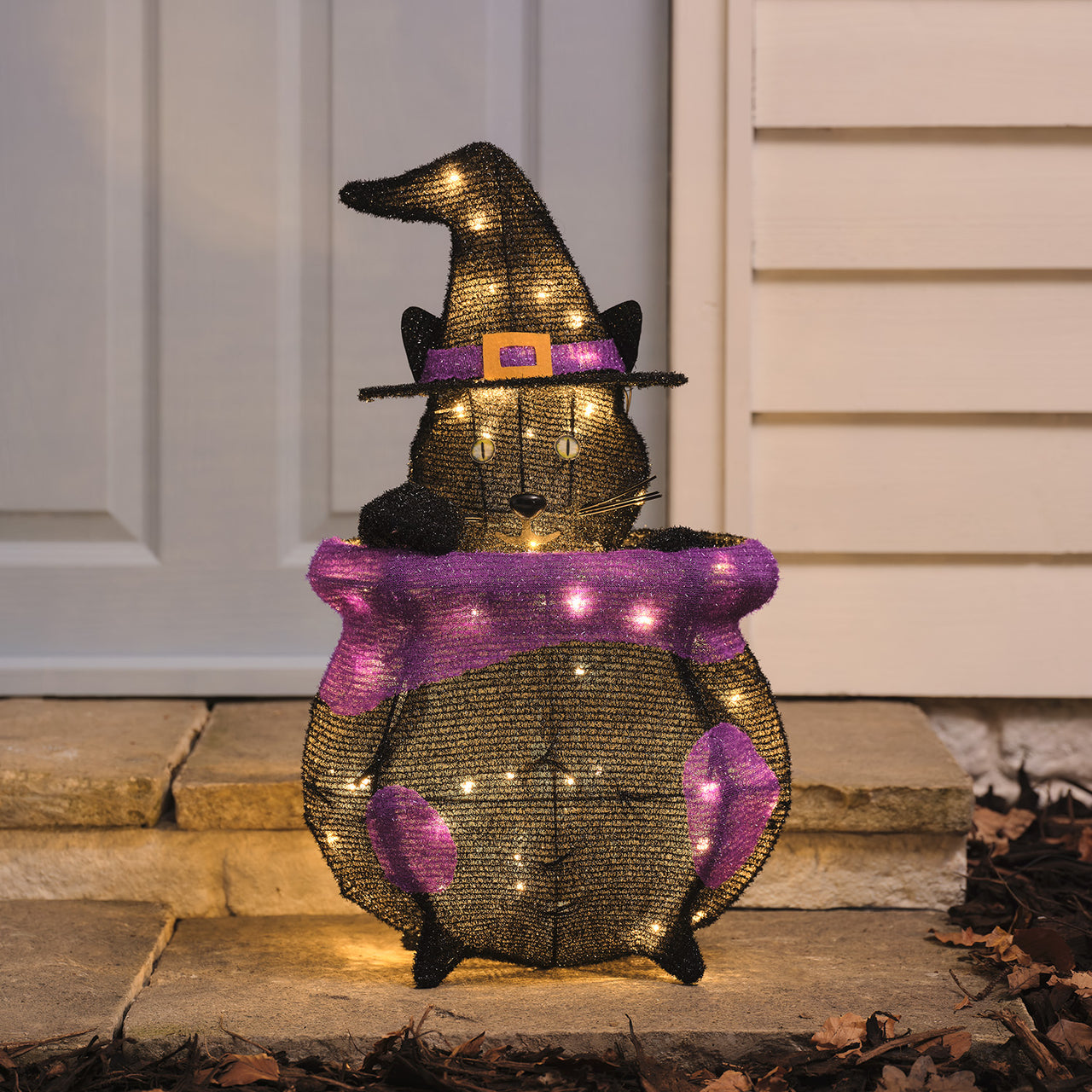 Chat Caché dans un Chaudron Lumineux à LED