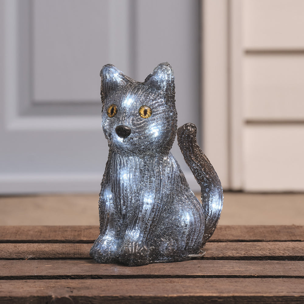 Chat de Sorcière 3D en Acrylique à LED Blancs