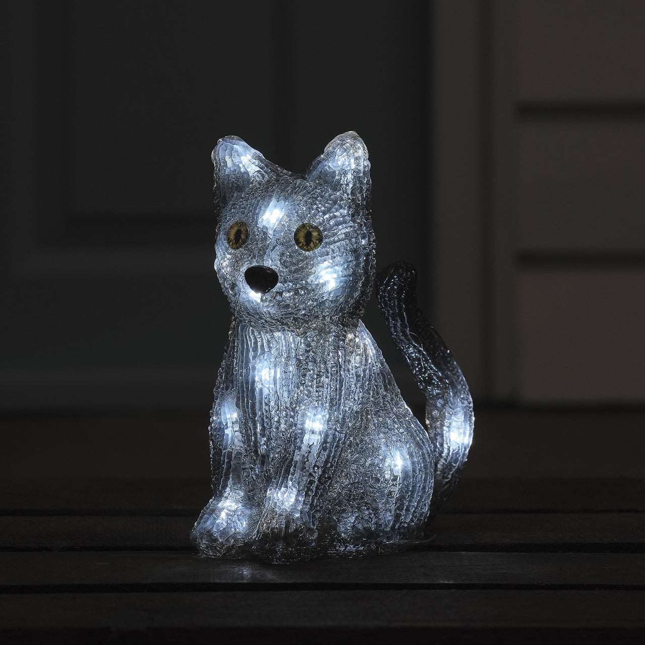 Chat de Sorcière 3D en Acrylique à LED Blancs