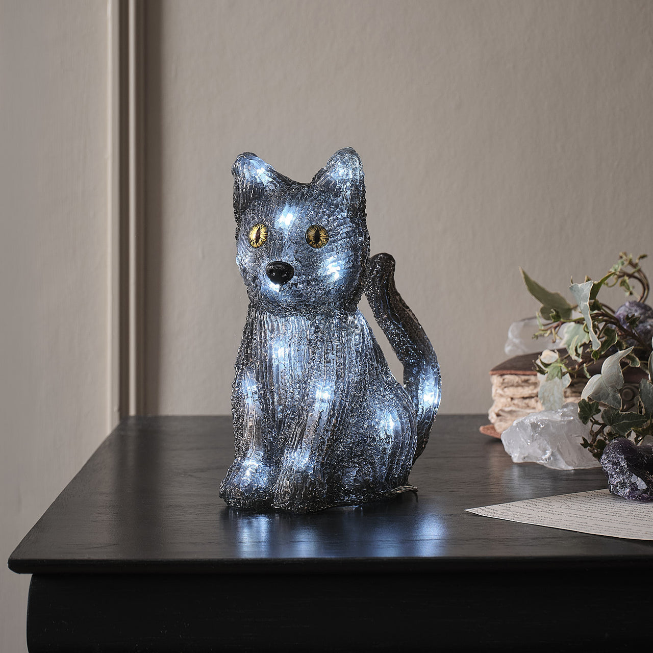Chat de Sorcière 3D en Acrylique à LED Blancs