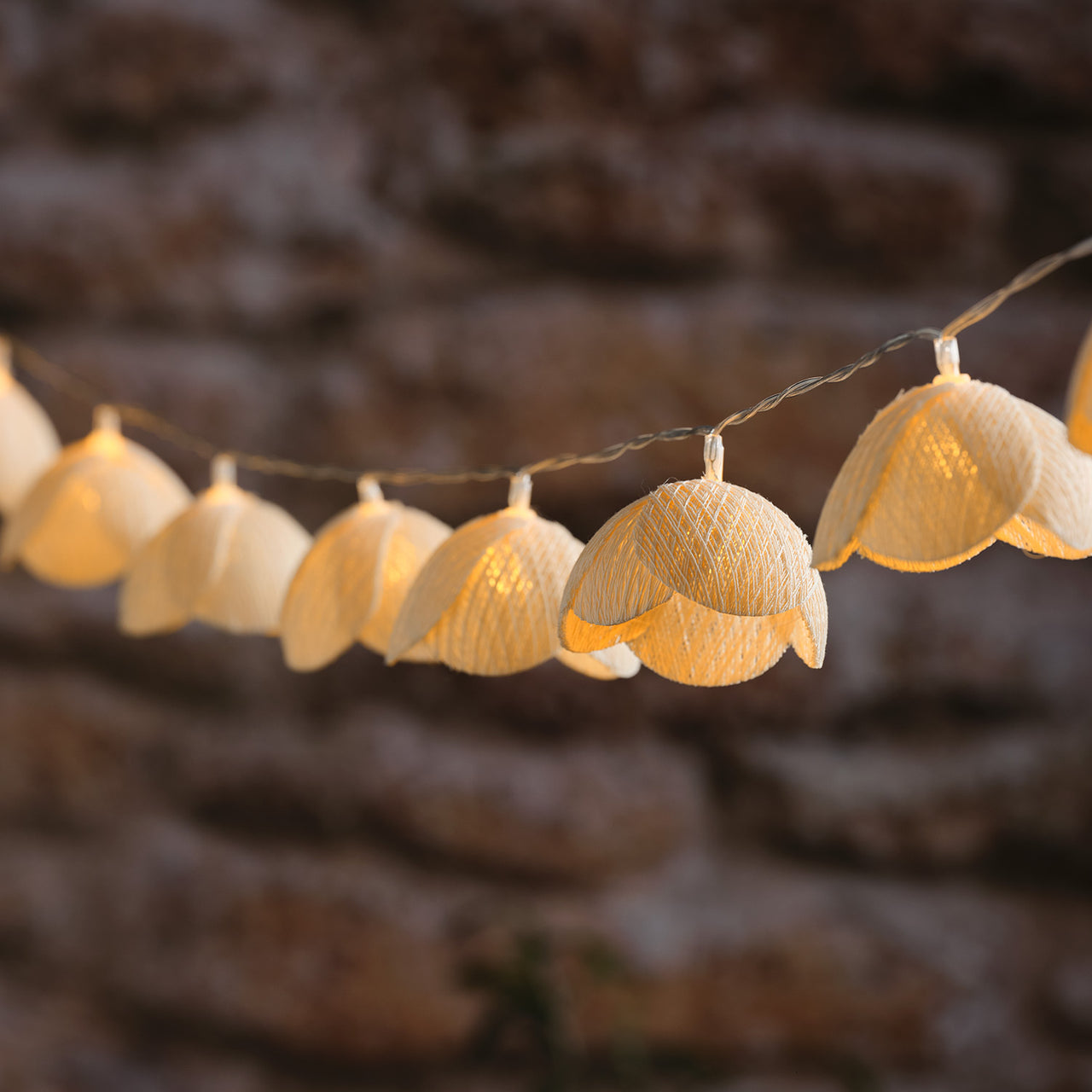 Guirlande Lumineuse LED Fleurs des Prairies