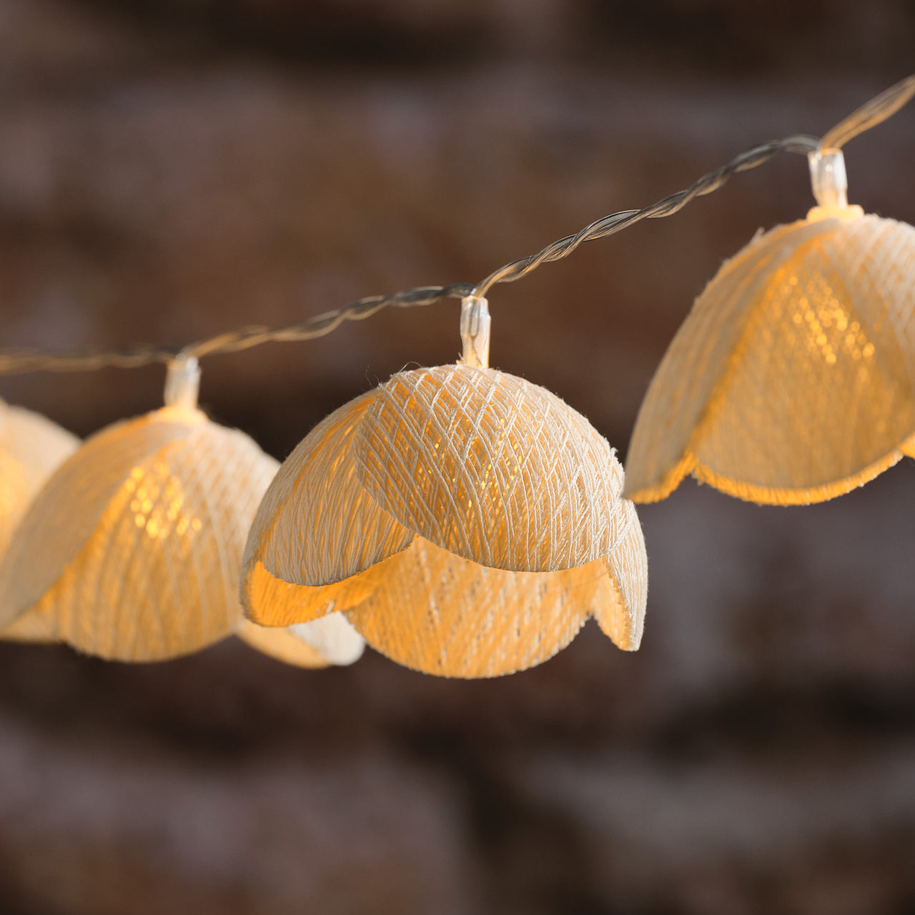 Guirlande Lumineuse LED Fleurs des Prairies