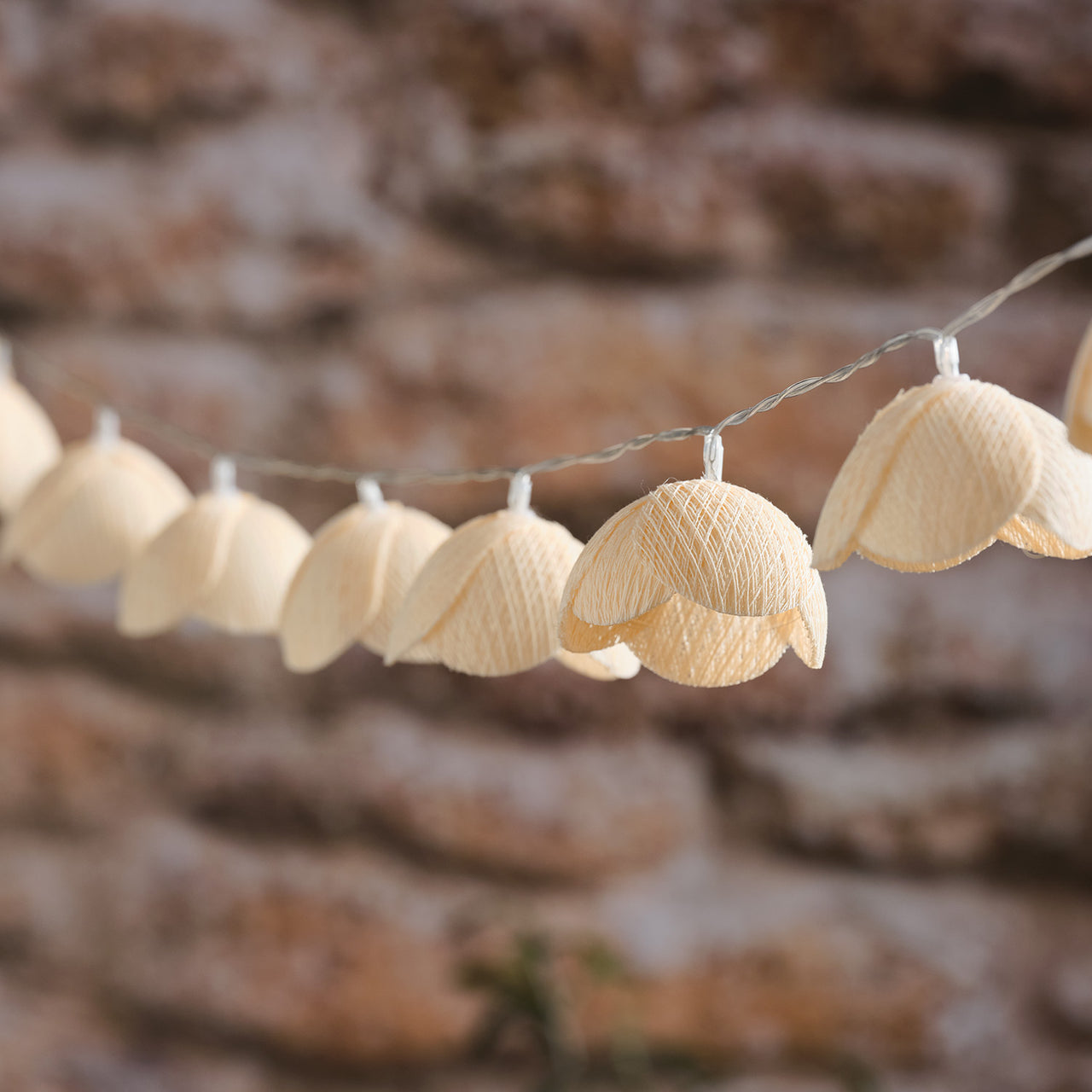 Guirlande Lumineuse LED Fleurs des Prairies