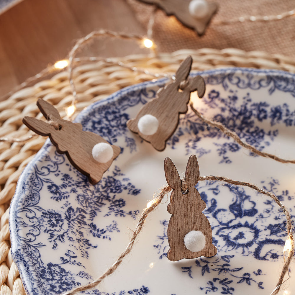 Bunny Carotte Cordon Lumières Fonctionnement à Batterie, Décor de Pâques  Printemps Lapin Fairy Lights Pour Maison Intérieur Extérieur Panier de  Pâques Oeufs Party Chambre Saisonnière