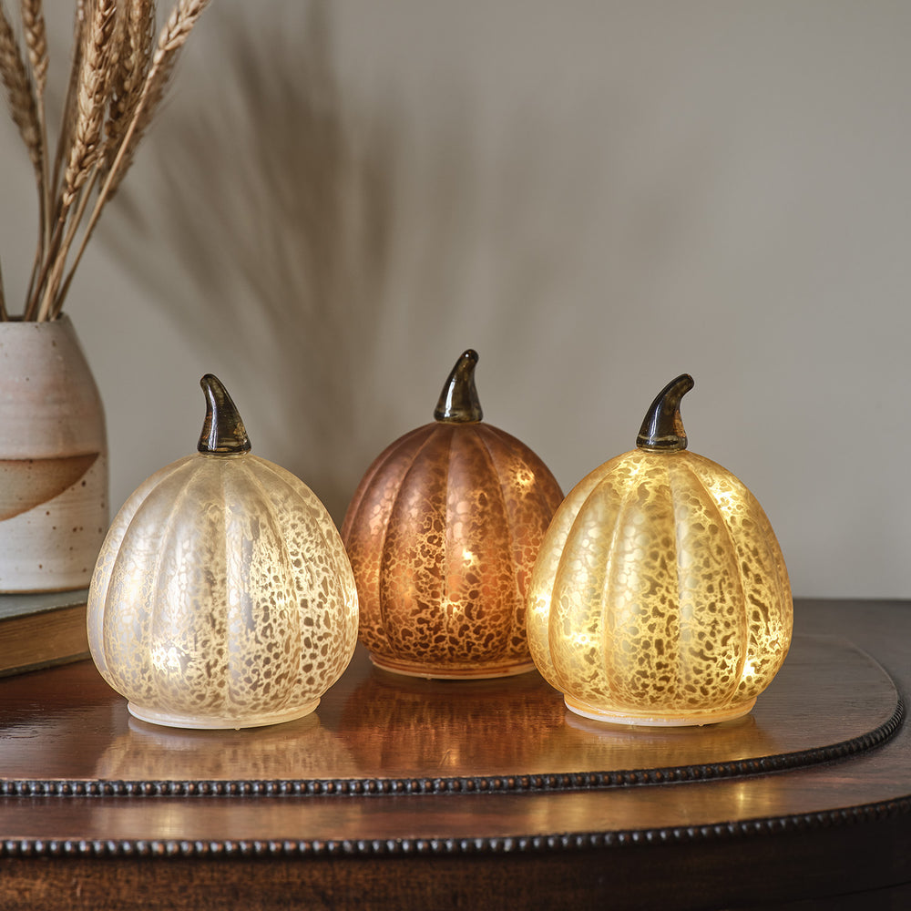 Lot de 3 Citrouilles Lumineuses en Verre à la Patine Blanche