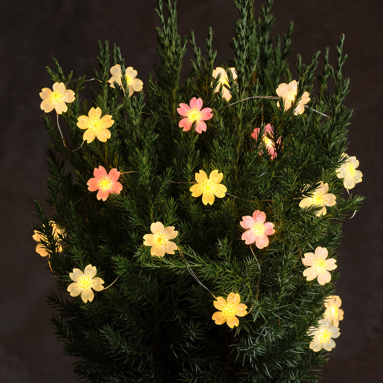 Guirlande Lumineuse Micro LED à 20 Fleurs Pastel