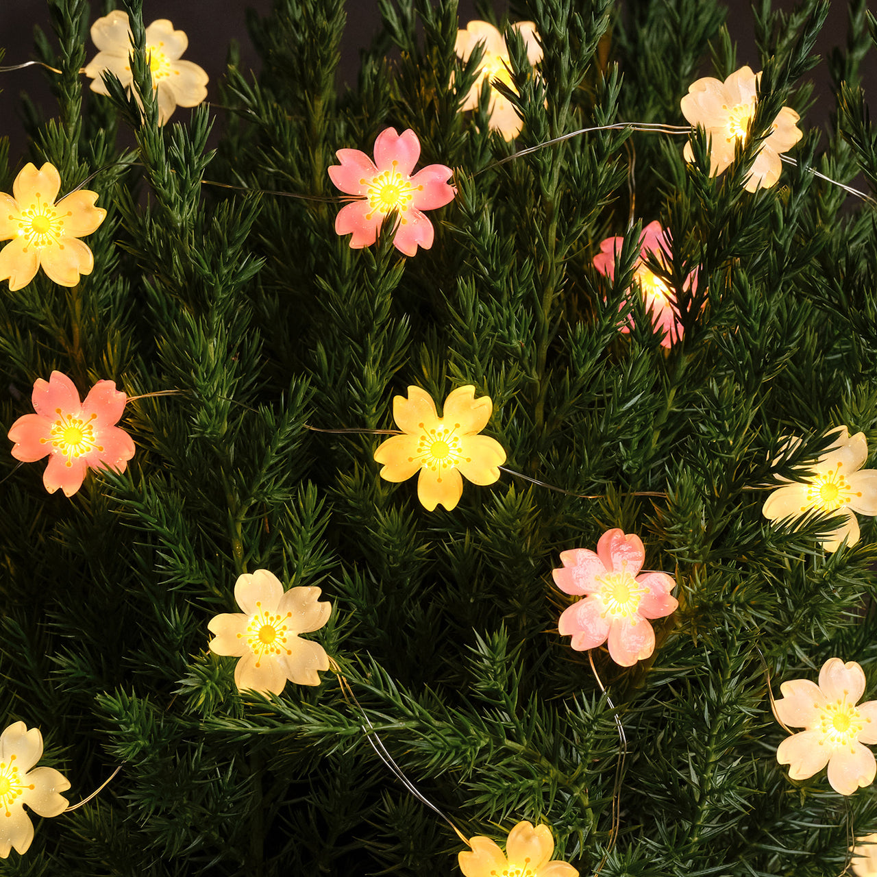 Guirlande Lumineuse Micro LED à 20 Fleurs Pastel
