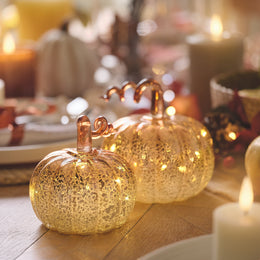 Lot de 2 Citrouilles Lumineuses en Verre Effet Mercure Dégradé avec Tige Spirale