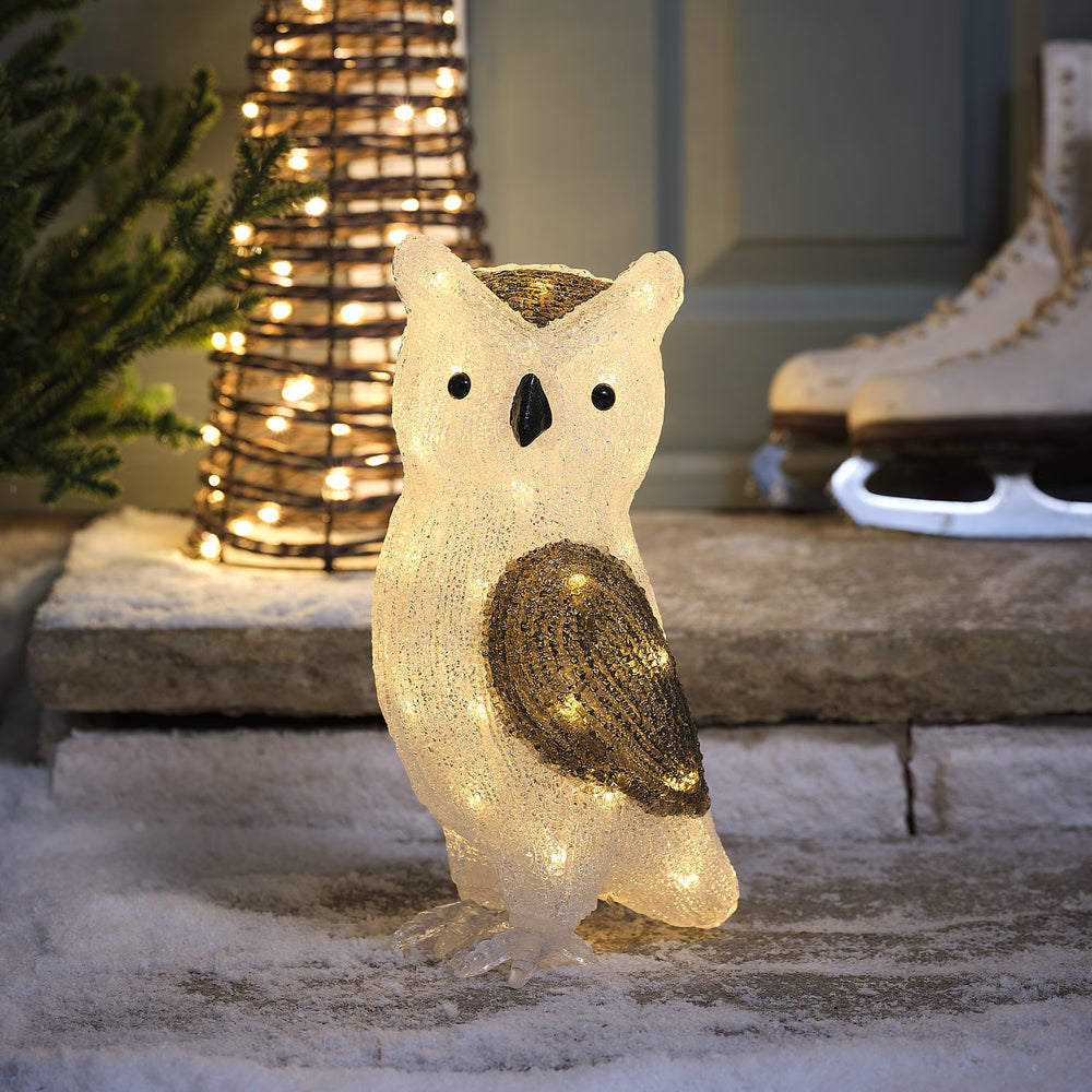 Hibou Lumineux Ollie de 30 cm en Acrylique à LED Bicolores