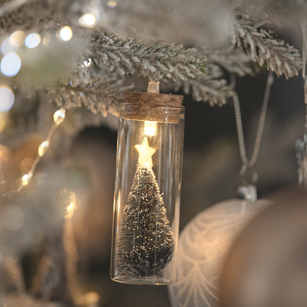 Guirlande Lumineuse à 10 Flacons en Verre avec Sapins de Noël Étoilés