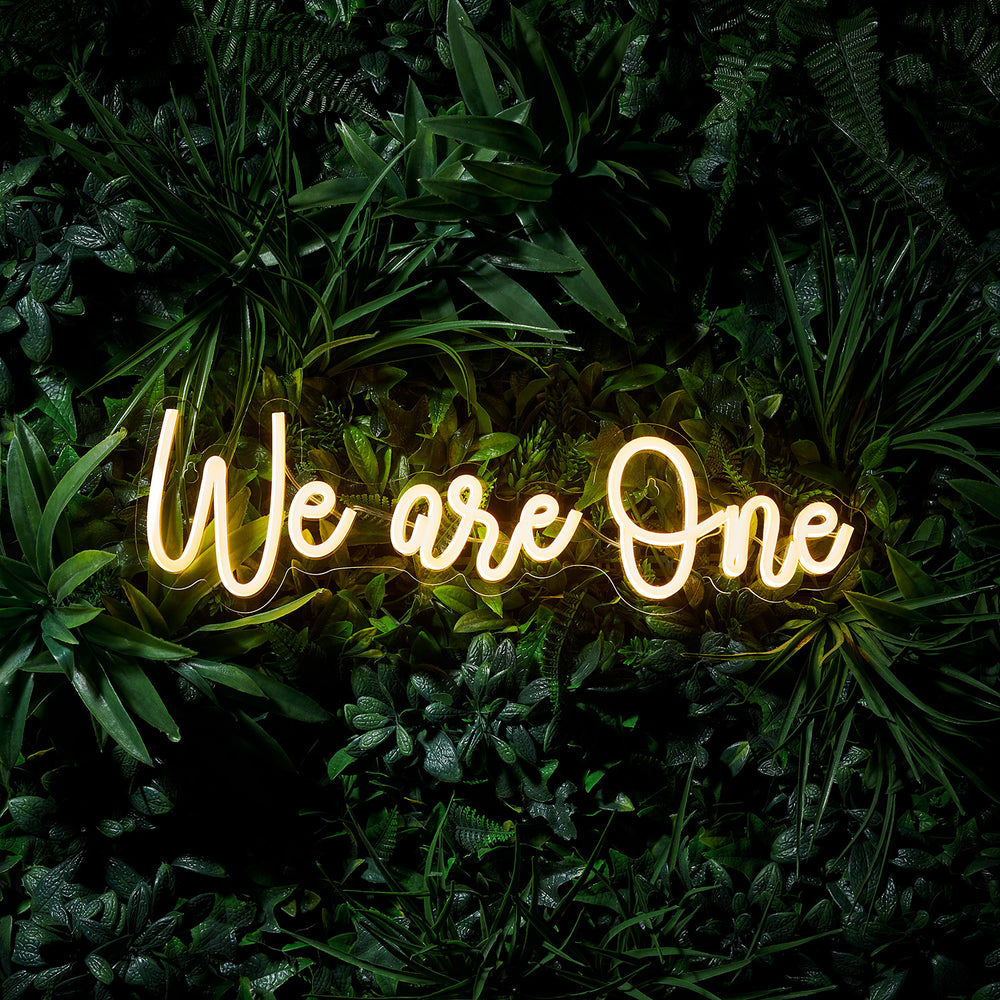 Enseigne Lumineuse Néon “We Are One”