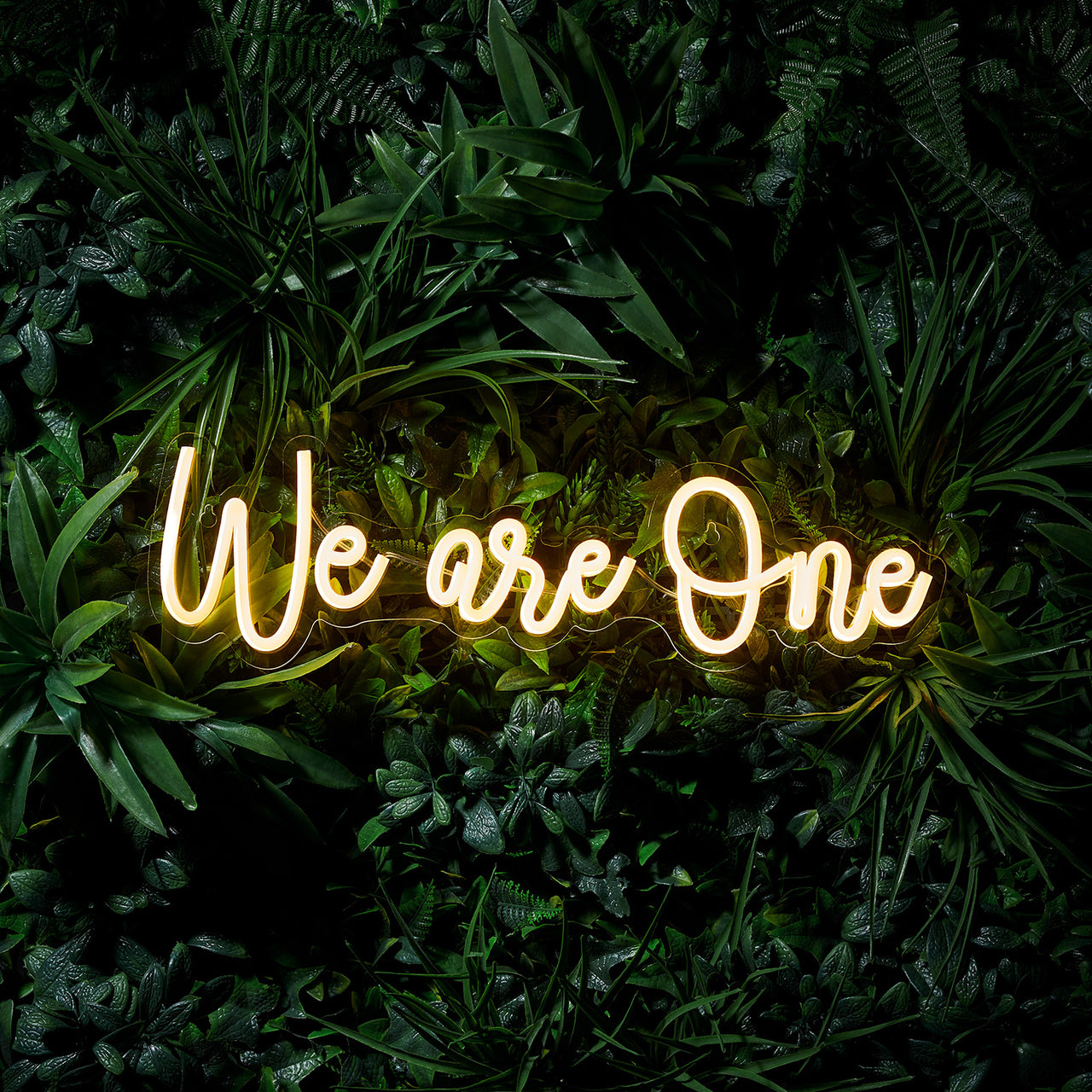 Enseigne Lumineuse Néon “We Are One”