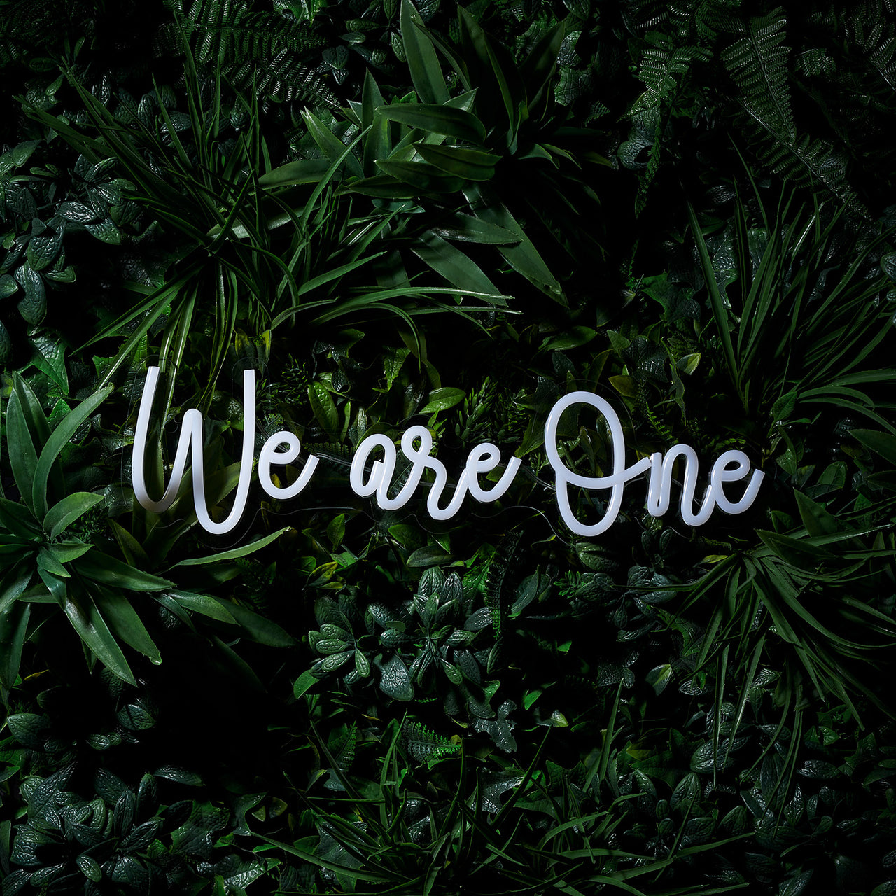 Enseigne Lumineuse Néon “We Are One”