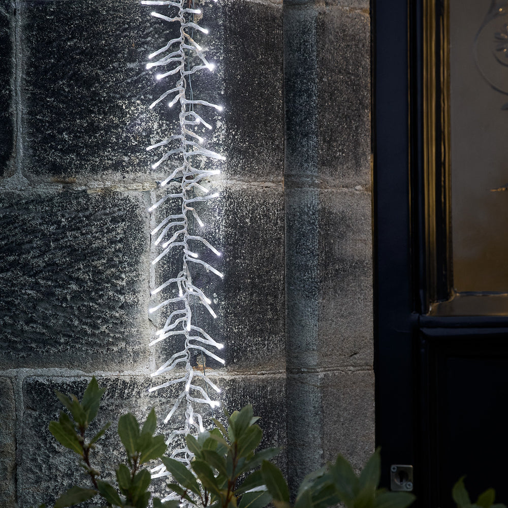 Guirlande Lumineuse en Grappe de 5 m, à LED Bicolores