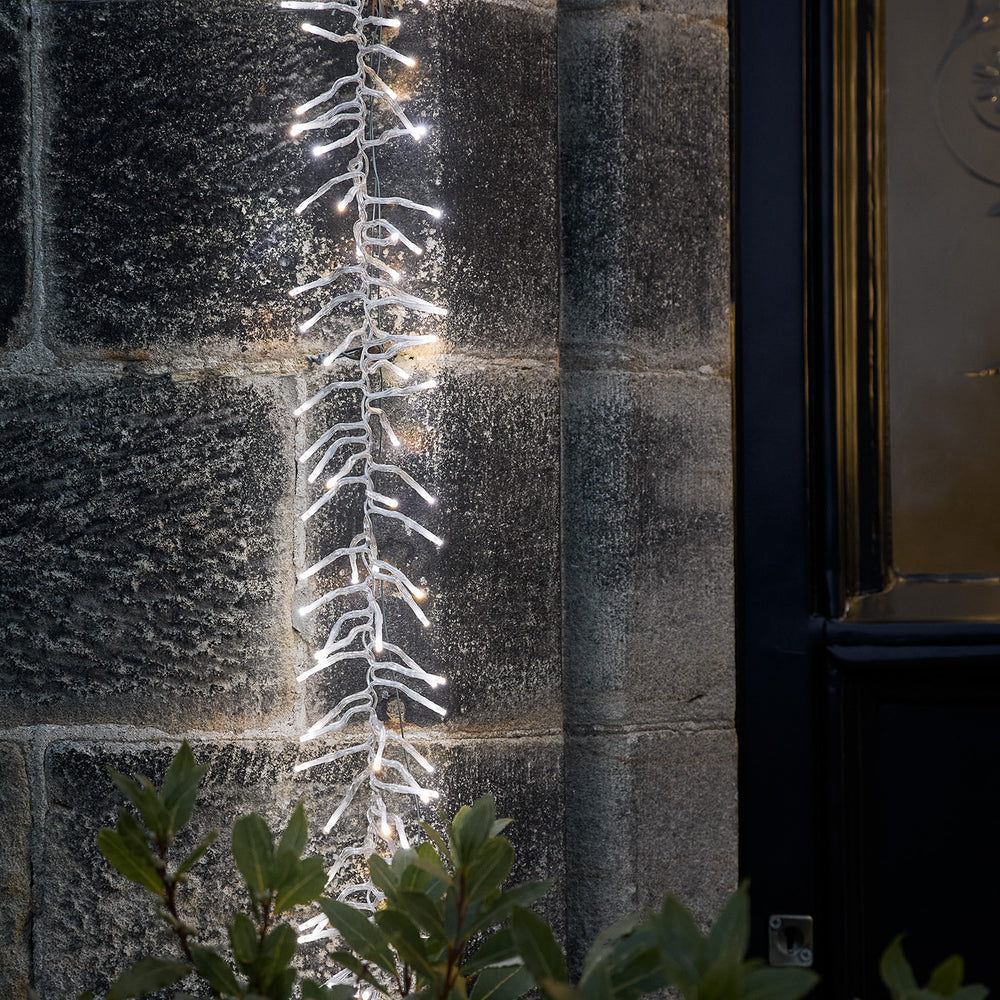 Guirlande Lumineuse en Grappe de 5 m, à LED Bicolores