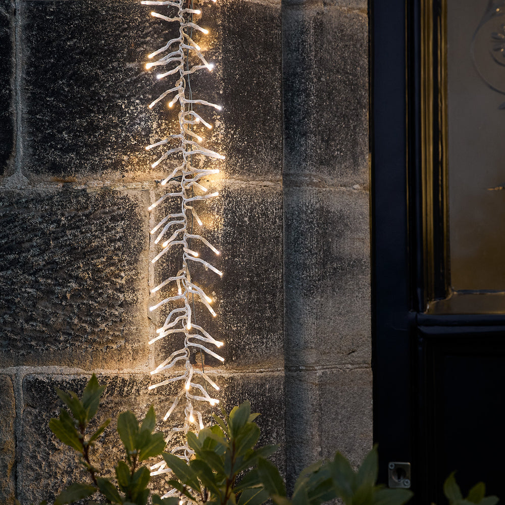 Guirlande Lumineuse en Grappe de 5 m, à LED Bicolores