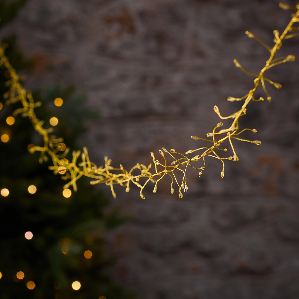 Guirlande Lumineuse d’Extérieur de 2,5 m en Grappe Dorée à 250 LED