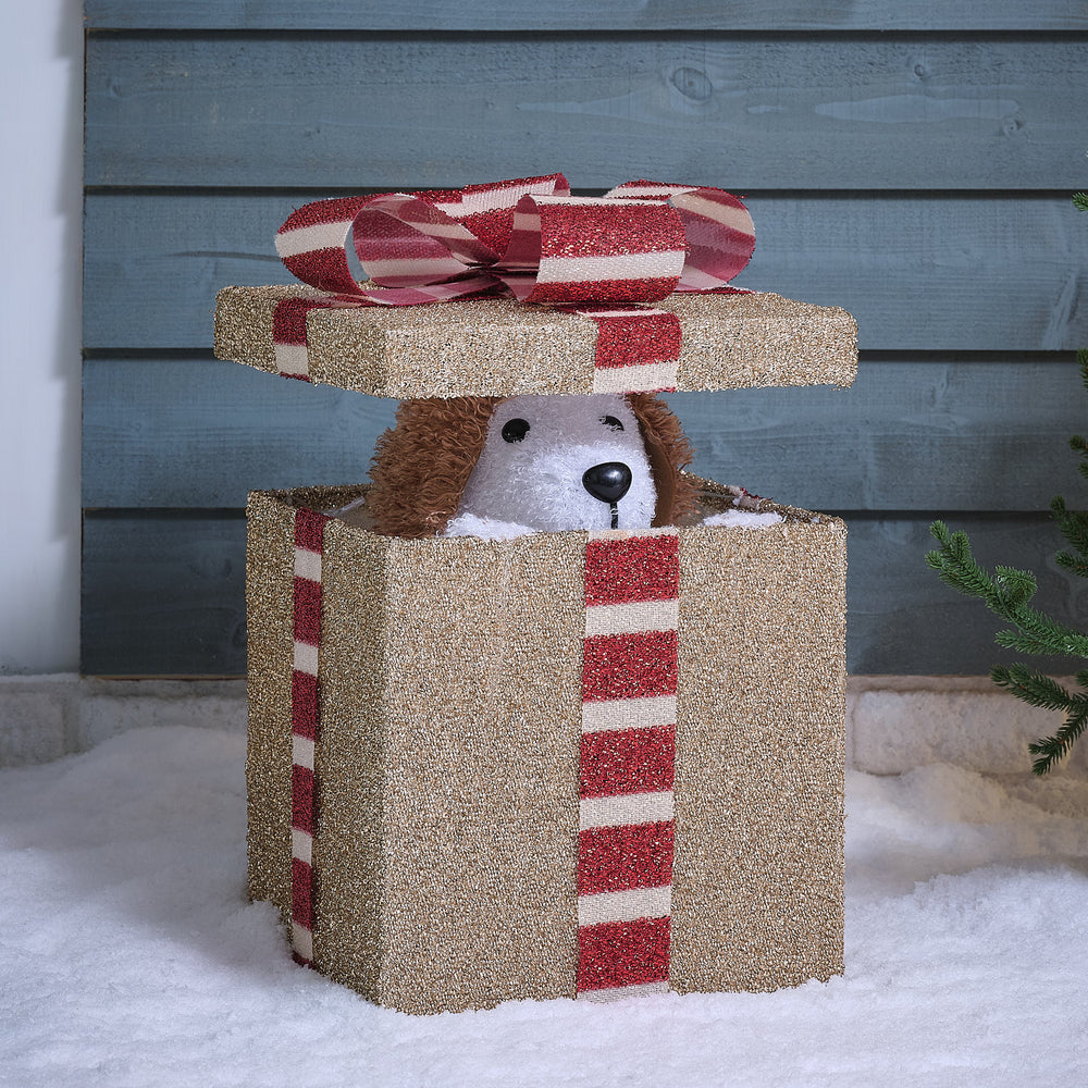 Chien Lumineux Animé dans un Cadeau, Décoration d’Extérieur