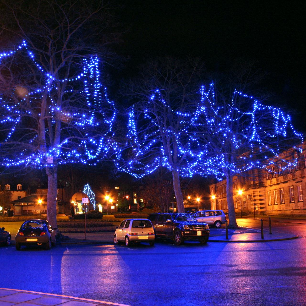 Guirlande Lumineuse Pro Connect IP67, 5m 50 LED Bleue Câble Noir Raccordable