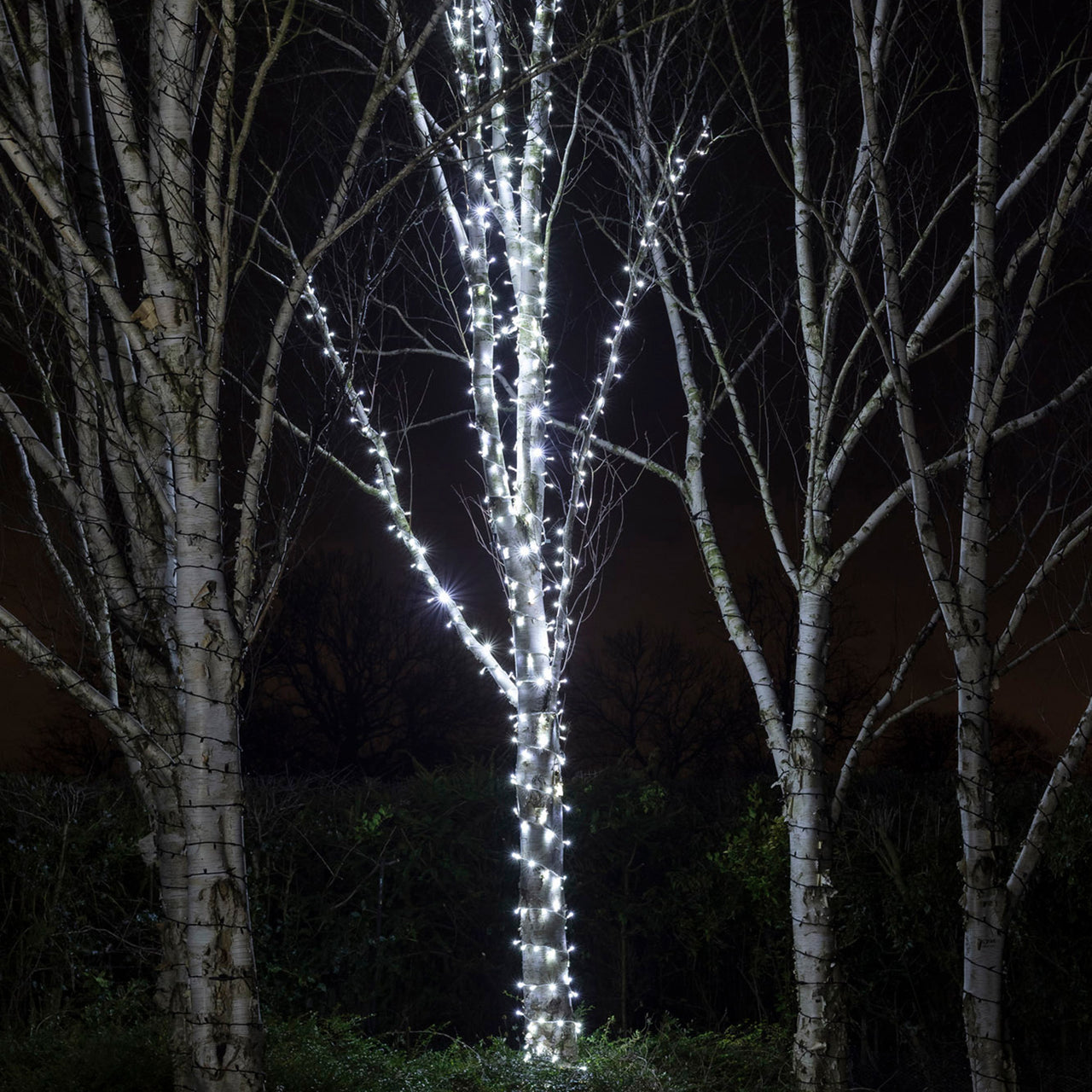 Guirlande Lumineuse Pro Connect IP67, 10m 100 LED Blanche Câble Blanc Raccordable