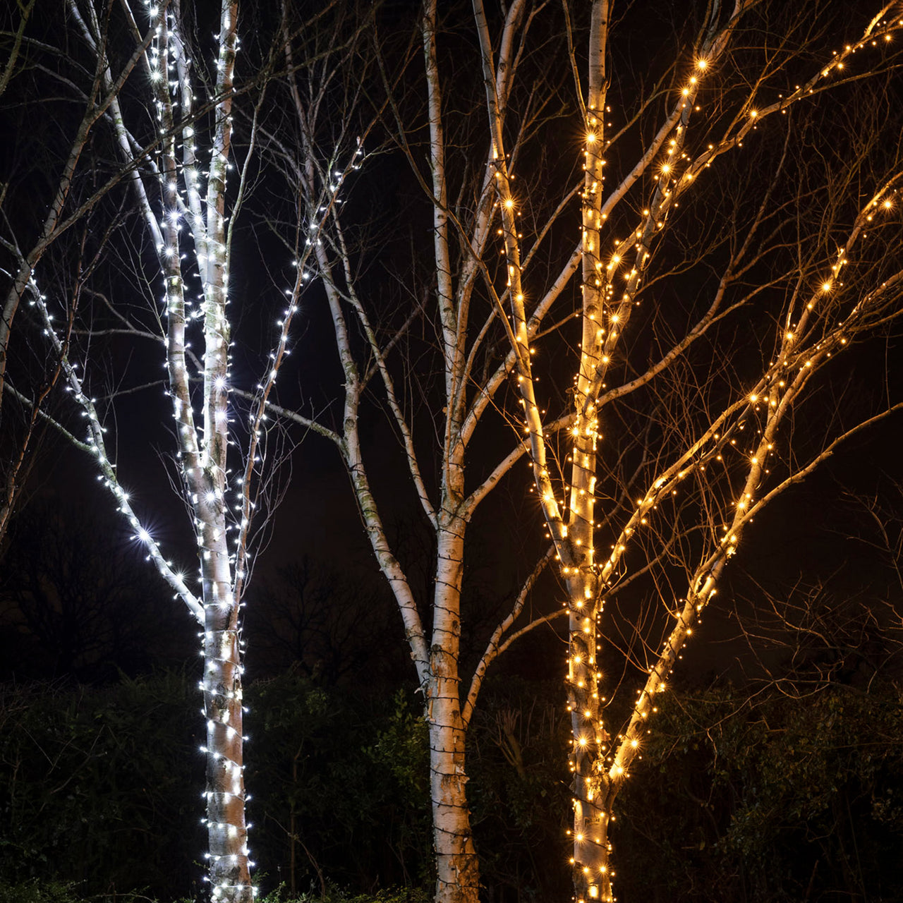 Guirlande Lumineuse Pro Connect IP67, 10m 100 LED Blanc Chaud Classique Câble Noir Raccordable