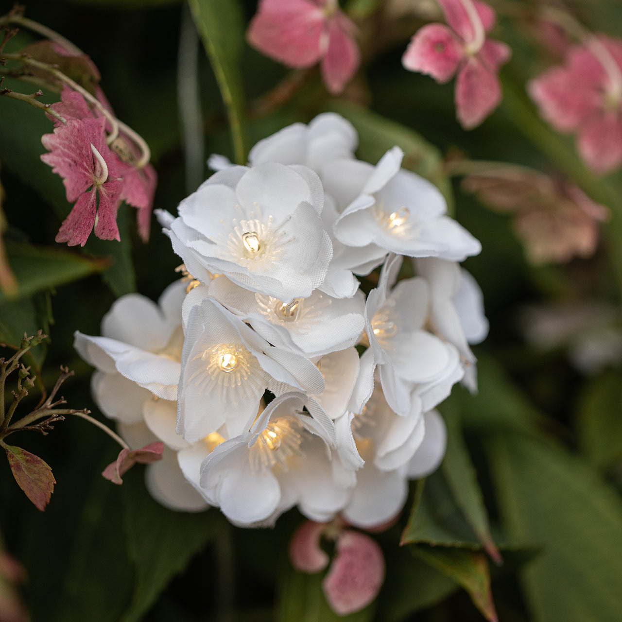 Guirlande Lumineuse Solaire à Fleurs Blanches, Rechargeable par USB